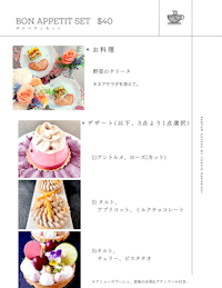 bon appetit set 45            
